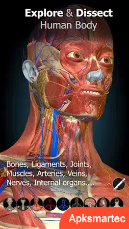 Anatomy Learning - 3D Anatomy