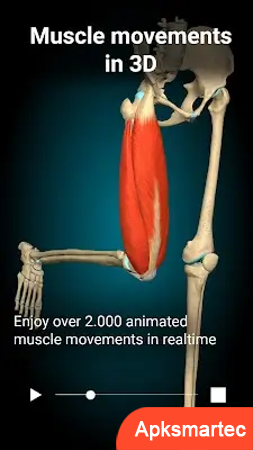 Anatomy Learning - 3D Anatomy