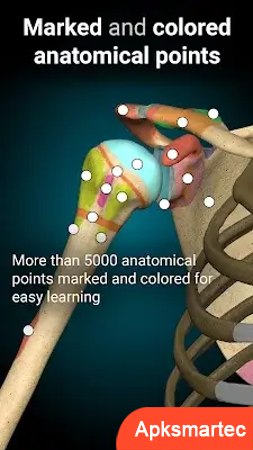 Anatomy Learning - 3D Anatomy