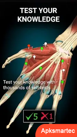 Anatomy Learning - 3D Anatomy