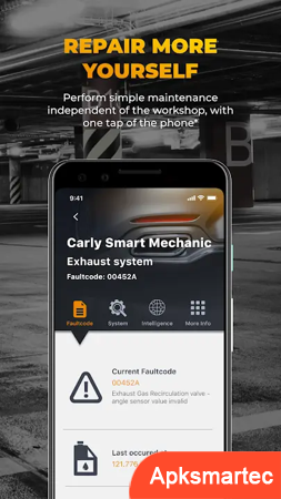 Carly OBD2 car scanner