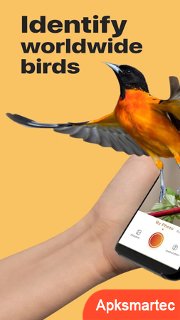 Picture Bird - Bird Identifier