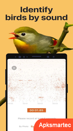 Picture Bird - Bird Identifier