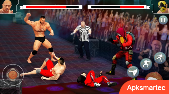 Beat Em Up Wrestling Game 