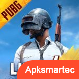 PUBG MOBILE LITE